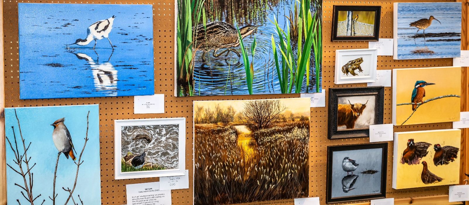 Art Show information